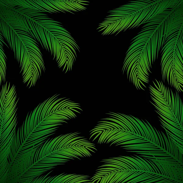 Feuilles de palmier sur noir — Image vectorielle