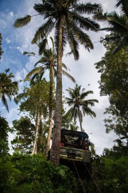 Bali. Endonezya - 7 Mart 2013 cipin içinde tropikal orman.