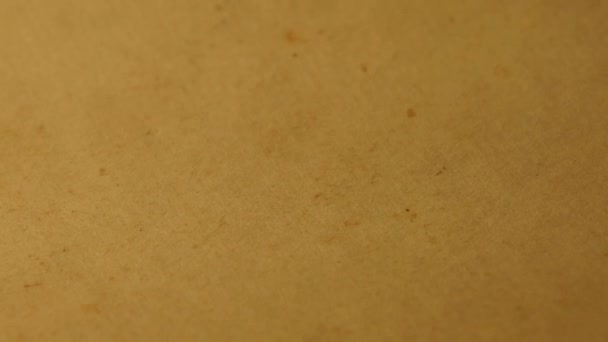 vieille sainte bible