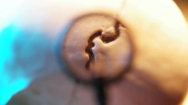 İnsan kafatası analizi