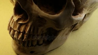 İnsan kafatası analizi