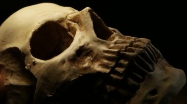 İnsan kafatası analizi