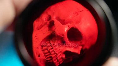 İnsan kafatası analizi