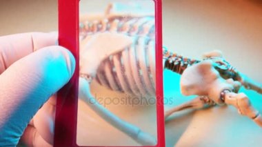 İskelet Mini modeli