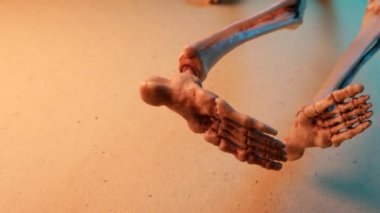 İskelet Mini modeli