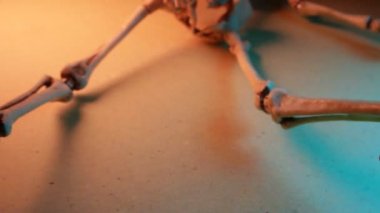 İskelet Mini modeli