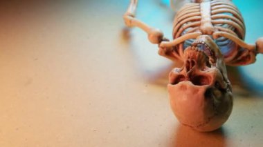 İskelet Mini modeli