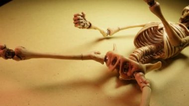 İskelet Mini modeli