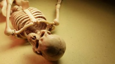 İskelet Mini modeli