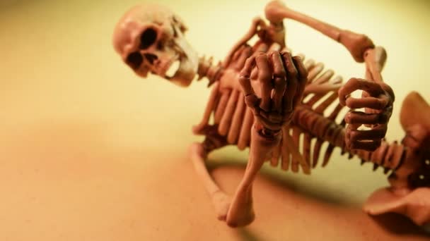 Mini modelo de esqueleto — Vídeo de Stock