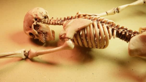 Esqueleto Mini Modelo — Vídeos de Stock