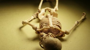 İskelet Mini modeli