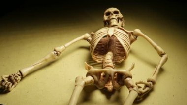 İskelet Mini modeli