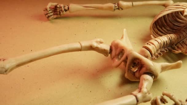 Mini modello di scheletro — Video Stock