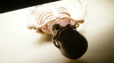 İskelet Mini modeli