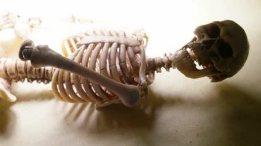 İskelet Mini modeli