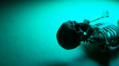 İskelet Mini modeli