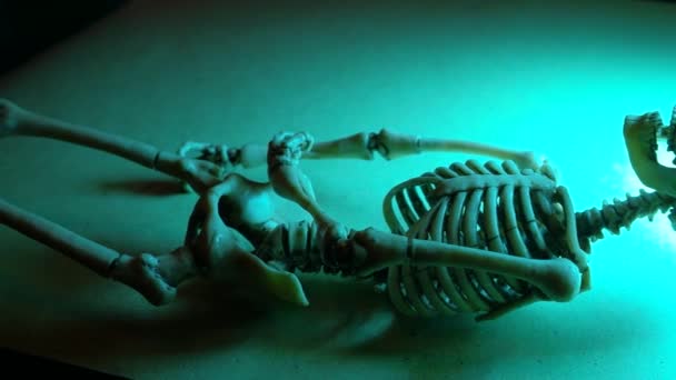 Skeleton Mini Model — Stock Video