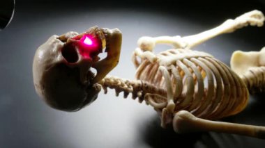 İskelet Mini modeli