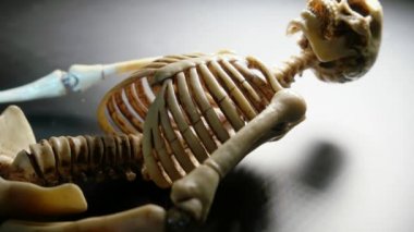 İskelet Mini modeli