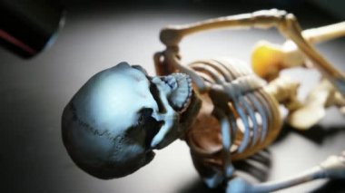 İskelet Mini modeli