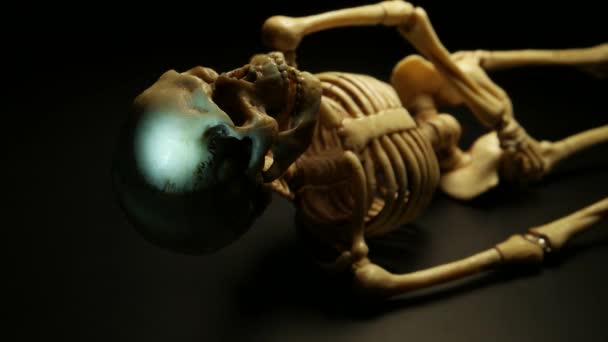 Skelett Mini-modell — Stockvideo