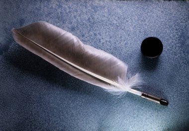 Bir tüyün yakın çekim