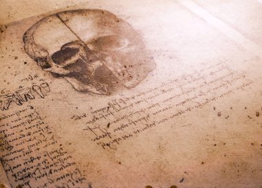 14. yüzyılda anatomi sanat leonardo da vinci tarafından