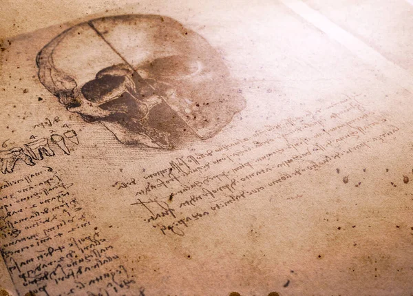 Xiv Anatomia Sztuki Leonarda Vinci — Zdjęcie stockowe