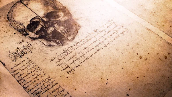 Anatomiekunst Des Jahrhunderts Von Leonardo Vinci — Stockfoto