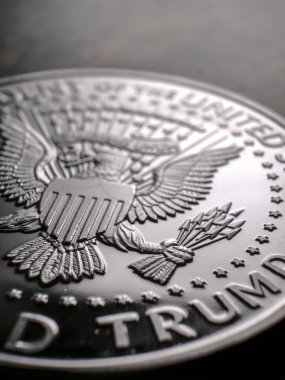 Ayrıntılı Macro madeni parayı kapat