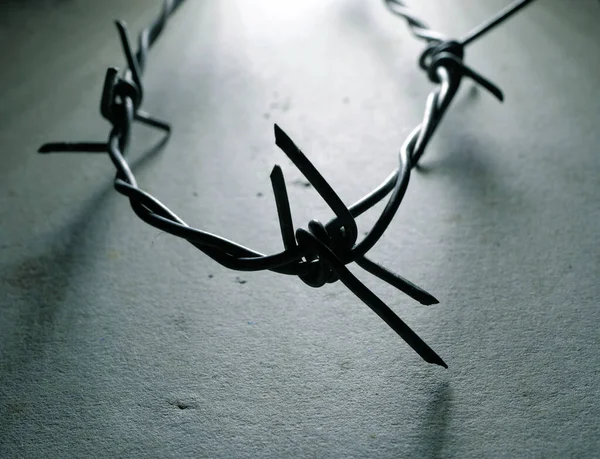 Close Barbed Wire — Stock Photo, Image