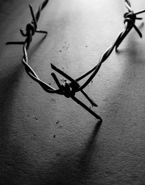 Close Barbed Wire — Stock Photo, Image
