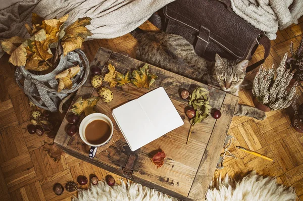 Nostaljik hygge sahne güz