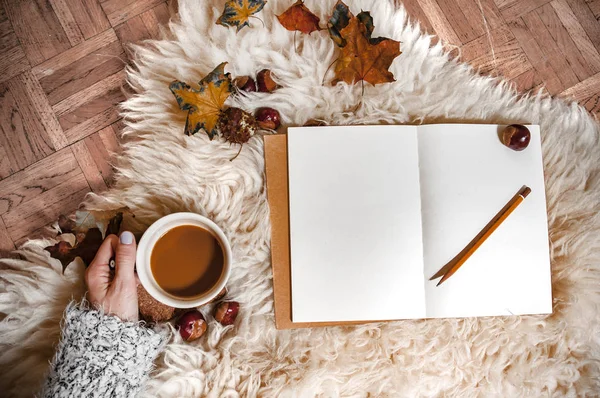 Hygge sahne güz
