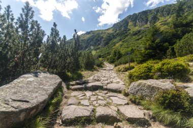Dağlarda, ormanlarda, bir sürü ağaçta turistler ve yürüyüşçüler için taştan bir patika..
