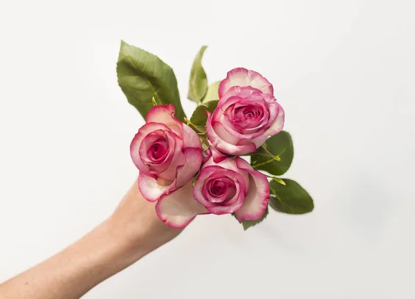 Ramo Flores Rosas Vista Superior — Foto de Stock