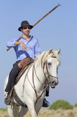 Çoban Camargue üzerinde