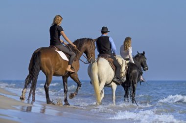 horse riders in the sea clipart