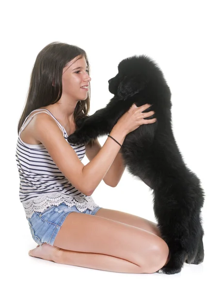 Puppy newfoundland dog and child — Stock Photo, Image