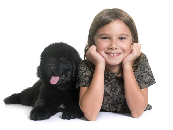 Pentu newfoundland koira ja lapsi — kuvapankkivalokuva