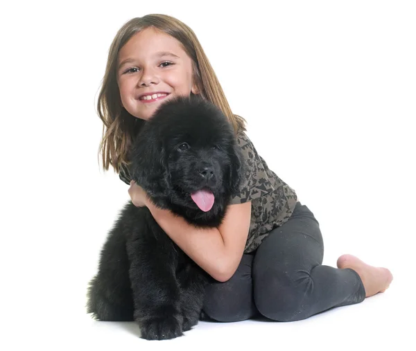 Puppy newfoundland dog and child — Stock Photo, Image