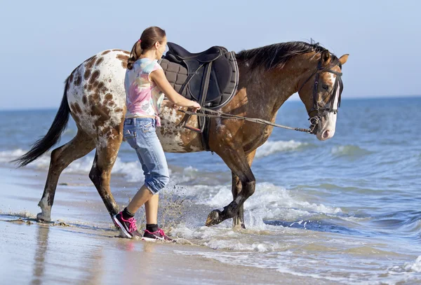 해변에 horsewoman — 스톡 사진
