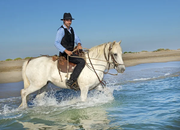 Horse rider in the sea — Stock Photo, Image
