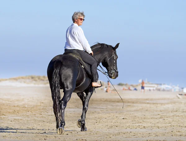 Конячка на пляжі — стокове фото