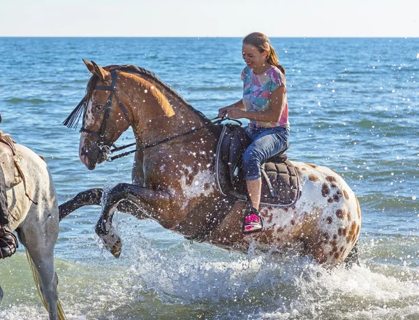 Femme et cheval appaloosa — Photo