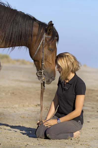 Cavalo na praia — Fotografia de Stock