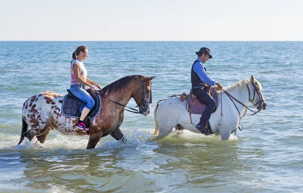 Riders and horses in the sea Stock Image
