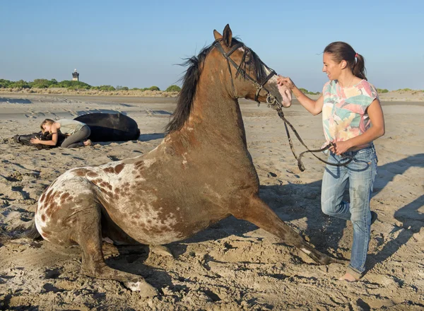 Flicka leker med häst — Stockfoto