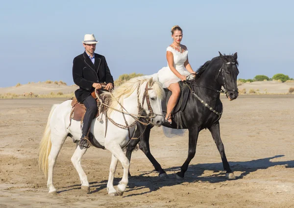 Hochzeiten und Pferde — Stockfoto